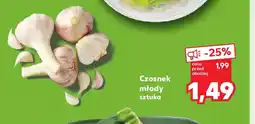 Kaufland Czosnek młody oferta