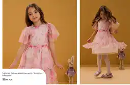 Sinsay Sukienka tiulowa w kwiatowy wzór z brokatem i falbanami oferta