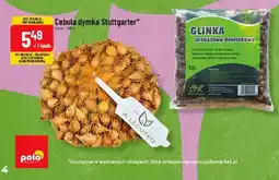 Polomarket Cebula dymka Stuttgarter oferta