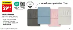 Biedronka Prześcieradło oferta