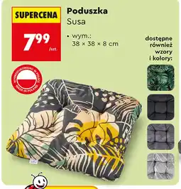 Biedronka Poduszka O oferta
