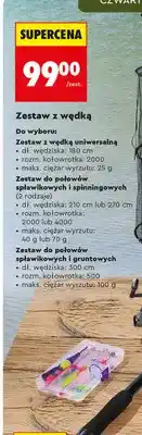 Biedronka Zestaw do połowów spławikowych i spinningowych (2 rodzaje) oferta