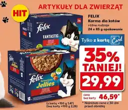 Kaufland Karma dla kotów różne rodzaje oferta