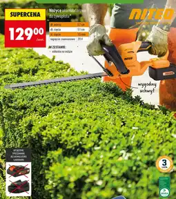 Biedronka Nożyce akumulatorowe Niteo oferta