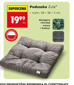 Biedronka Poduszka Biedronka oferta