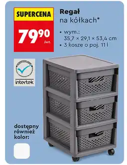 Biedronka Regał oferta