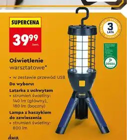 Biedronka Oświetlenie Niteo oferta