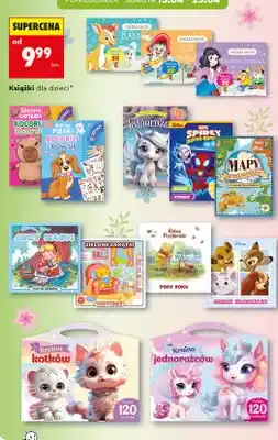 Biedronka Książki dla dzieci cena od: oferta