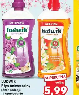 Kaufland Ludwik płyn uniwersalny oferta