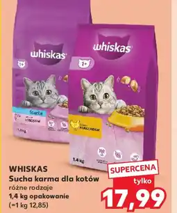 Kaufland Whiskas sucha karma dla kotów oferta