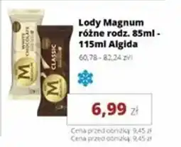 Torimpex Lody Magnum Algida oferta