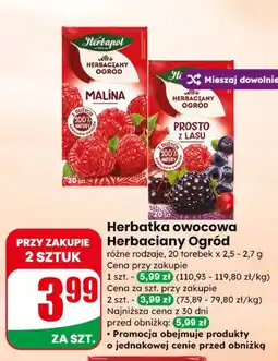 Dino Herbatka owocowa Herbaciany Ogród Herbapol oferta