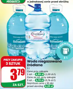 Dino Woda niegazowana źródlana oferta