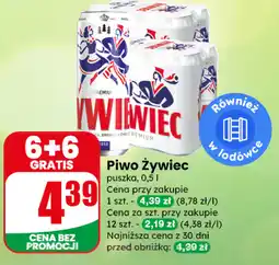 Dino Piwo Żywiec oferta