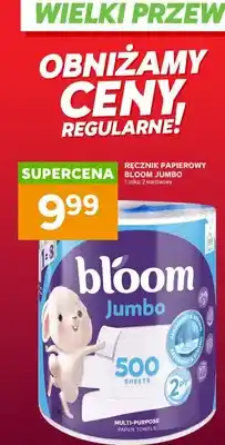 Stokrotka Ręcznik papierowy Jumbo oferta