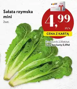 Market Point Sałata rzymska mini oferta