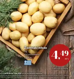Market Point Ziemniaki młode oferta