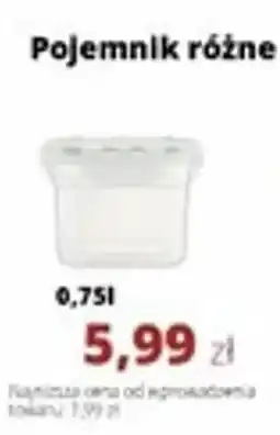 Torimpex Pojemnik Ambition oferta