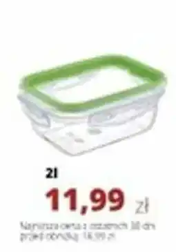 Torimpex Pojemnik Ambition oferta