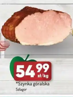 Avita Szynka góralska Szlagor oferta