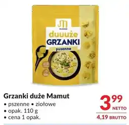 Makro Grzanki duże Mamut oferta
