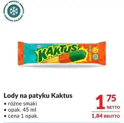 Makro Lody na patyku Kaktus oferta
