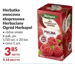 Makro Herbatka owocowa ekspresowa Herbaciany Ogród Herbapol oferta