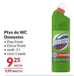 Makro Płyn do WC Domestos Pine Fresh oferta