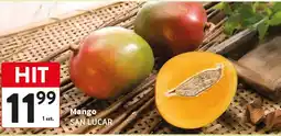 Intermarche Mango szt oferta