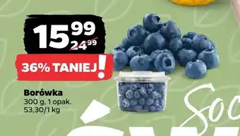 Netto Borówka oferta