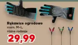 Kaufland Rękowice ogrodowe różne rodzaje oferta