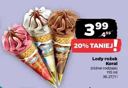 Netto Lody rożek (różne rodzaje) oferta