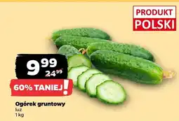 Netto Ogórek gruntowy oferta