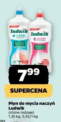 Netto Płyn do mycia naczyń oferta