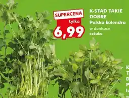 Kaufland K-STĄD TAKIE DOBRE Polska kolendra oferta