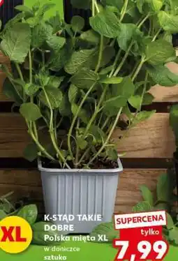 Kaufland Polska mięta XL oferta
