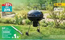 Biedronka Grill ogrodowy węglowy 22,5 oferta
