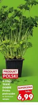 Kaufland Polska pietruszka w doniczce oferta