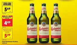Biedronka Piwo Budweiser Budvar 500 ml oferta