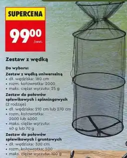 Biedronka Zestaw z wędką oferta