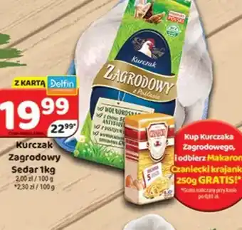 Delfin Kurczak Zagrodowy Sedar oferta