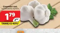 Delfin Czosnek oferta