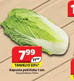 Delfin Kapusta pekińska oferta