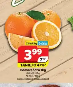 Delfin Pomarańcza oferta
