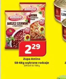 Delfin Zupa Amino oferta
