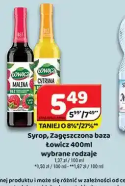 Delfin Syrop Lowicz oferta