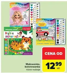 Carrefour Malowanka, kolorowanka różne rodzaje oferta