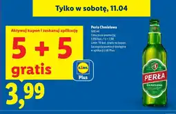 Lidl Piwo Chmielowa oferta