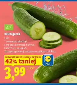 Lidl Ogórek BIO oferta