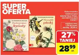 Carrefour Kolorowanka relaksacyjna niezwykłe ptaki oferta